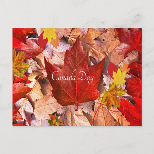 Postkarte (Vorderseite)