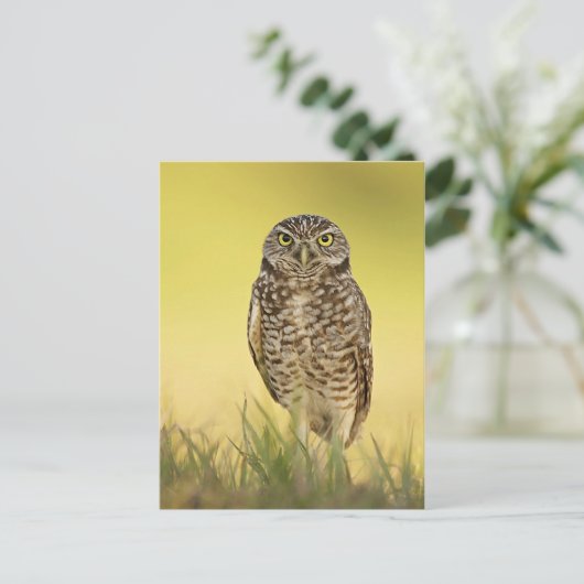 Postkarte (Stehend Vorderseite)