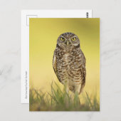 Postkarte (Vorne/Hinten)