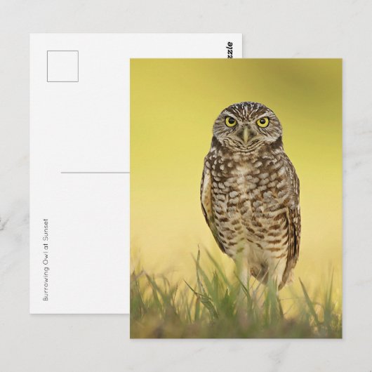 Postkarte (Vorne/Hinten)