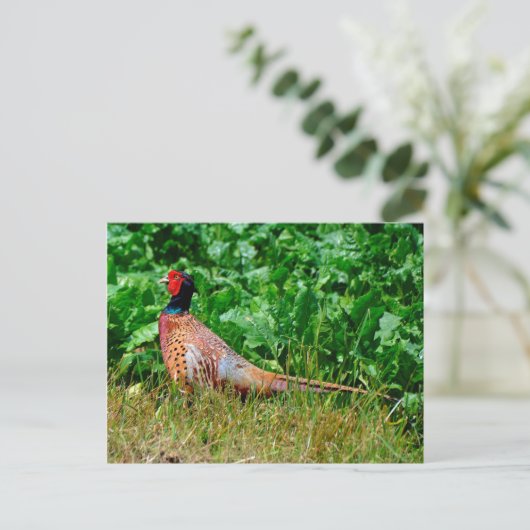 Postkarte (Stehend Vorderseite)