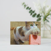 Postkarte (Stehend Vorderseite)