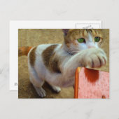 Postkarte (Vorne/Hinten)