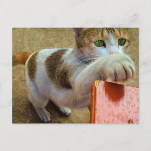 Postkarte