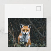 Postkarte (Vorne/Hinten)