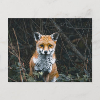 Postkarte