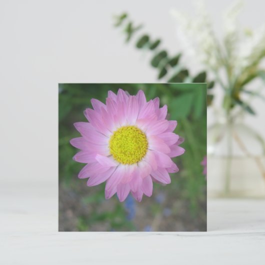 Postkarte (Stehend Vorderseite)