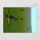 Postkarte (Vorderseite)