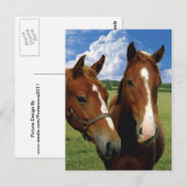 Postkarte (Vorne/Hinten)