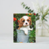 Postkarte (Stehend Vorderseite)