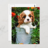 Postkarte (Vorne/Hinten)