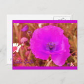 Postkarte (Vorne/Hinten)