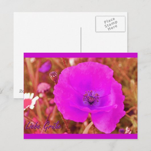 Postkarte (Vorne/Hinten)