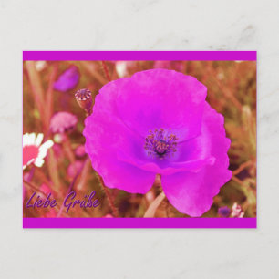 Postkarte