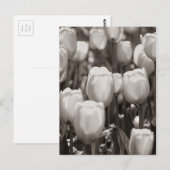 Postkarte (Vorne/Hinten)
