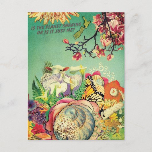 Postkarte (Vorderseite)