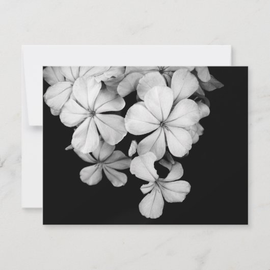 Postkarte (Vorderseite)