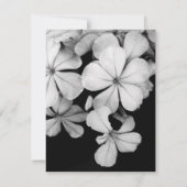 Postkarte (Rückseite)
