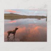 Postkarte (Vorderseite)