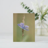 Postkarte (Stehend Vorderseite)