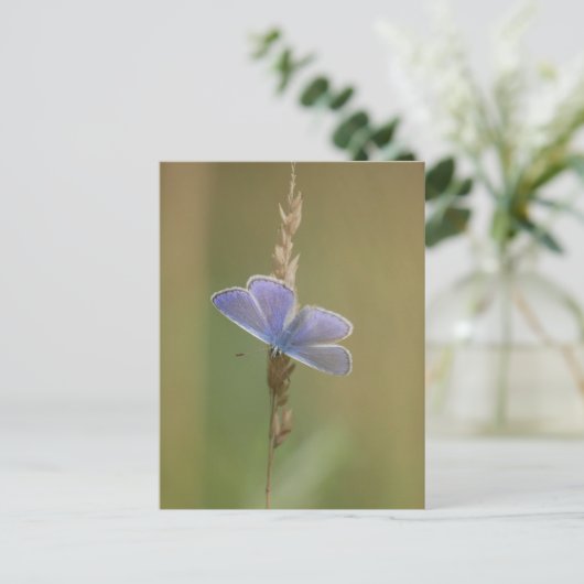 Postkarte (Stehend Vorderseite)