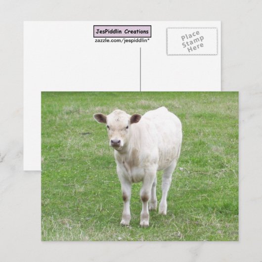 Postkarte (Vorne/Hinten)