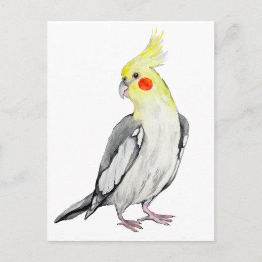 Postkarte (Vorderseite)