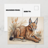Postkarte (Vorne/Hinten)