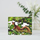 Postkarte (Stehend Vorderseite)