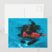 Postkarte (Vorne/Hinten)
