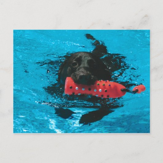 Postkarte (Vorderseite)