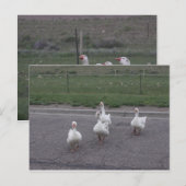 Postkarte (Vorne/Hinten)