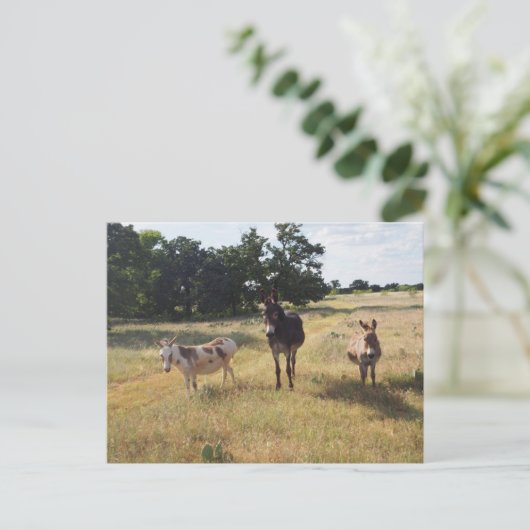 Postkarte (Stehend Vorderseite)