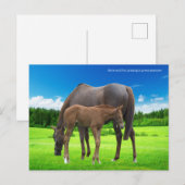 Postkarte (Vorne/Hinten)