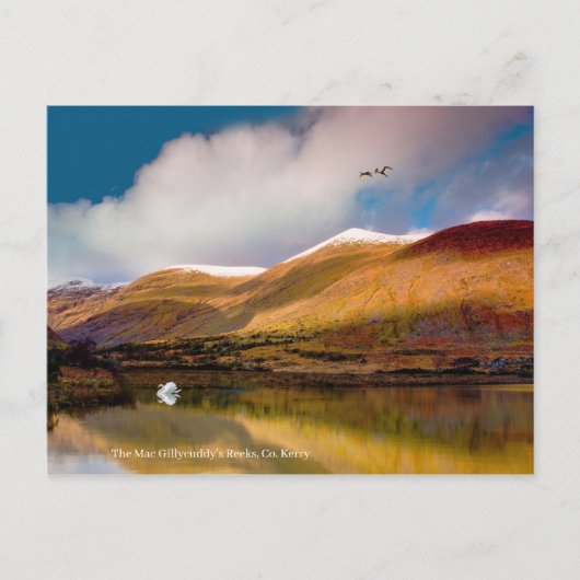 Postkarte (Vorderseite)