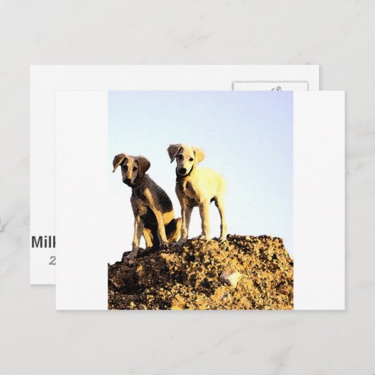 Postkarte (Vorne/Hinten)