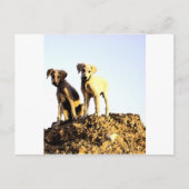 Postkarte (Vorderseite)