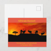 Postkarte (Vorne/Hinten)