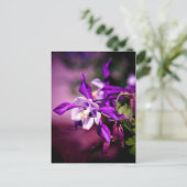 Postkarte (Stehend Vorderseite)