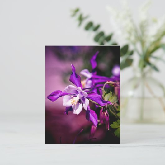 Postkarte (Stehend Vorderseite)