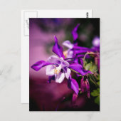 Postkarte (Vorne/Hinten)