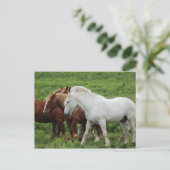 Postkarte (Stehend Vorderseite)