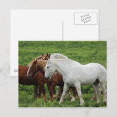 Postkarte (Vorne/Hinten)