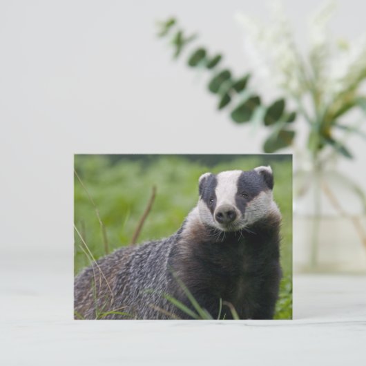 Postkarte (Stehend Vorderseite)