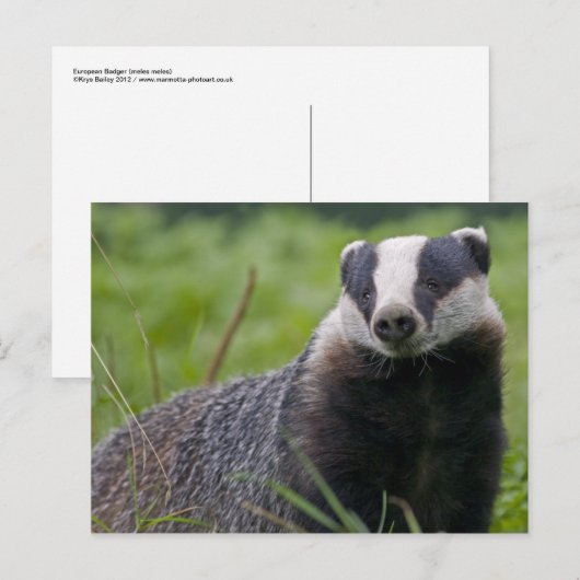 Postkarte (Vorne/Hinten)