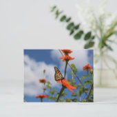 Postkarte (Stehend Vorderseite)
