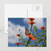 Postkarte (Vorne/Hinten)