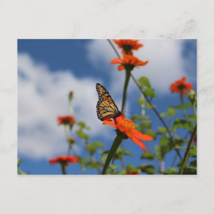Postkarte