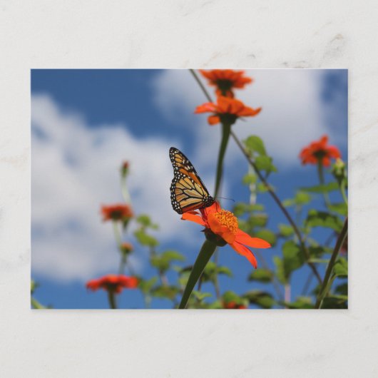 Postkarte (Vorderseite)