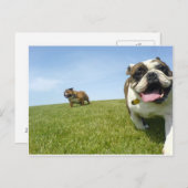 Postkarte (Vorne/Hinten)